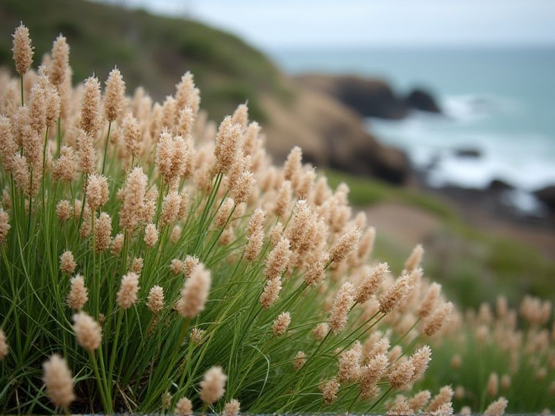 Salt-Tolerant Coastal Plants: Choosing the Best for Your Landscape