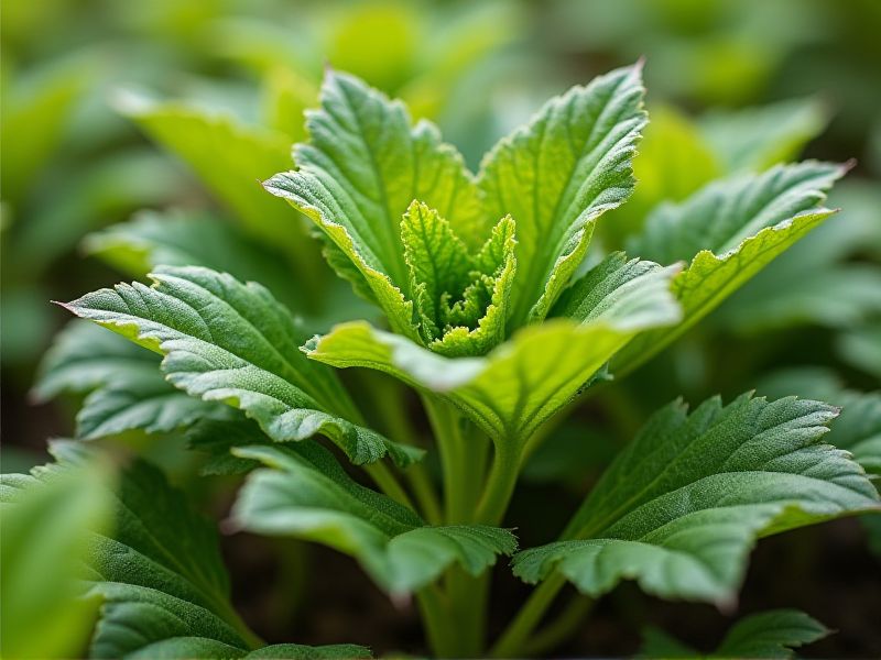 Exploring Genetically Modified Crops: What You Need to Know