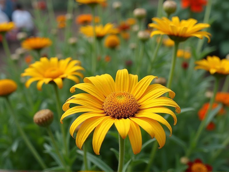 Resilient Drought-Tolerant Plants: Thrive in Dry Conditions