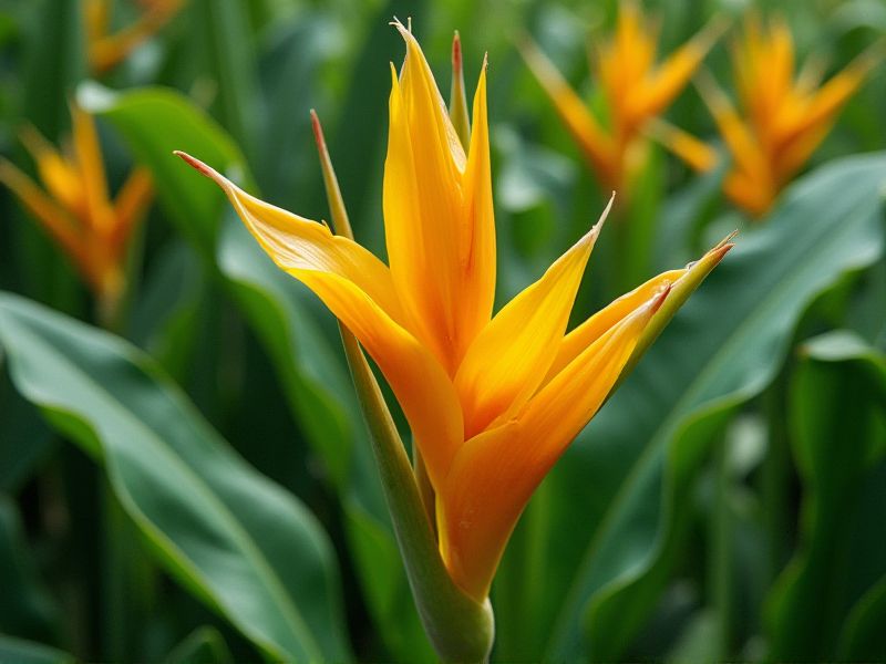 Discovering Rare and Unique Exotic Plants: A Guide to Extraordinary Flora