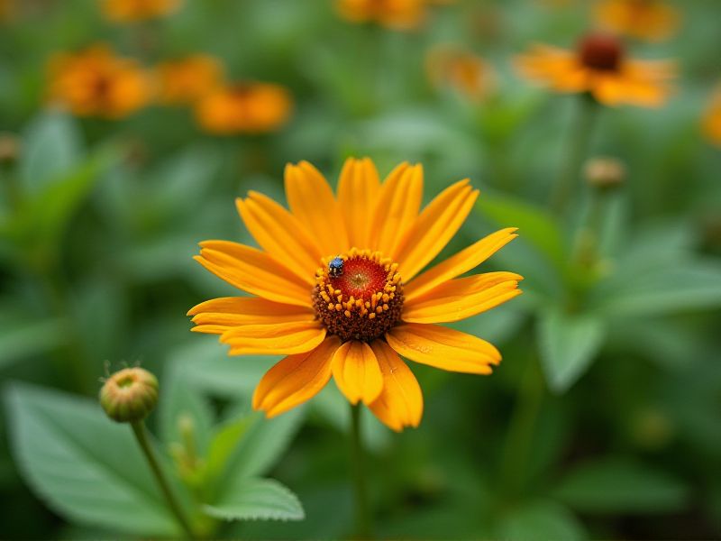 Pest-Repelling Fragrant Plants: Natural Solutions for Your Garden
