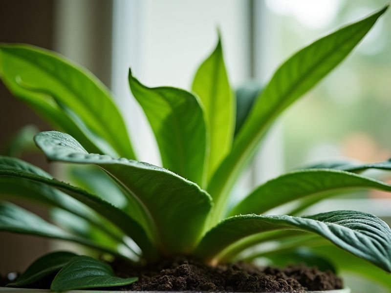 Kid-Friendly Indoor Plants: A Guide to Safe and Beautiful Options