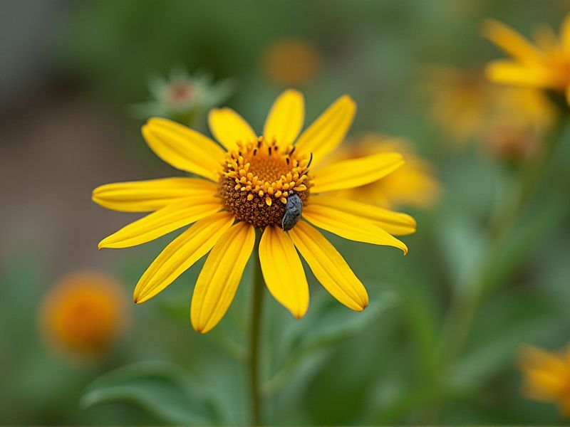 Deer-Resistant Ornamental Plants: A Selection Guide for Your Garden