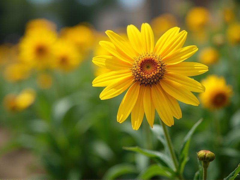 Drought-Resistant Ornamental Plants: Your Guide to Sustainable Gardening