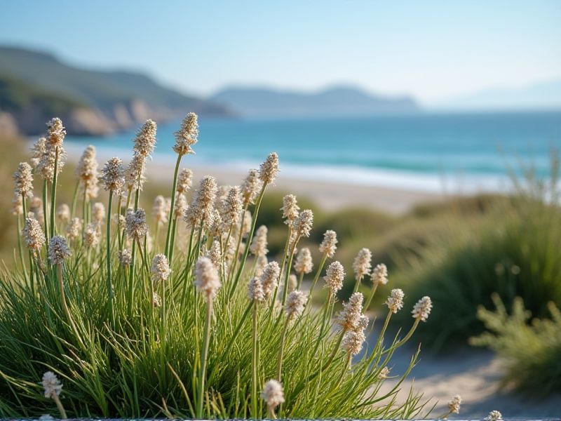 Coastal Gardening: Salt-Tolerant Plants for Ocean-Side Growth