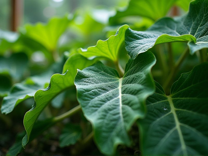 Essential Humidity Guide for Thriving Subtropical Plants