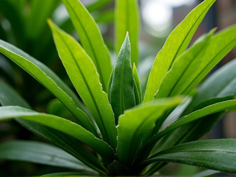 Cold-Hardy Tropical Plants for Chilly Climates